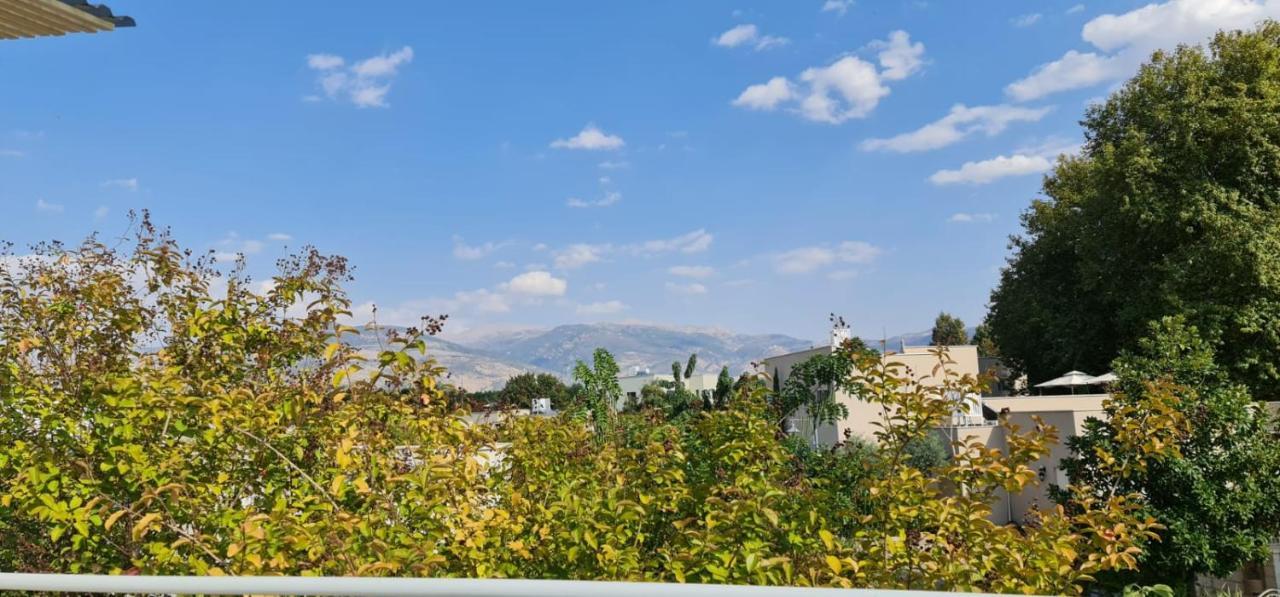 קסם של אירוח Apartment Hagoşrim Exterior foto